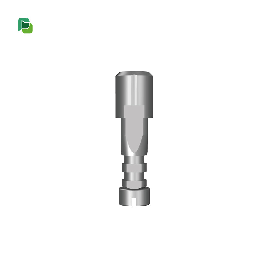 MIS Internal 3D Lab Analog