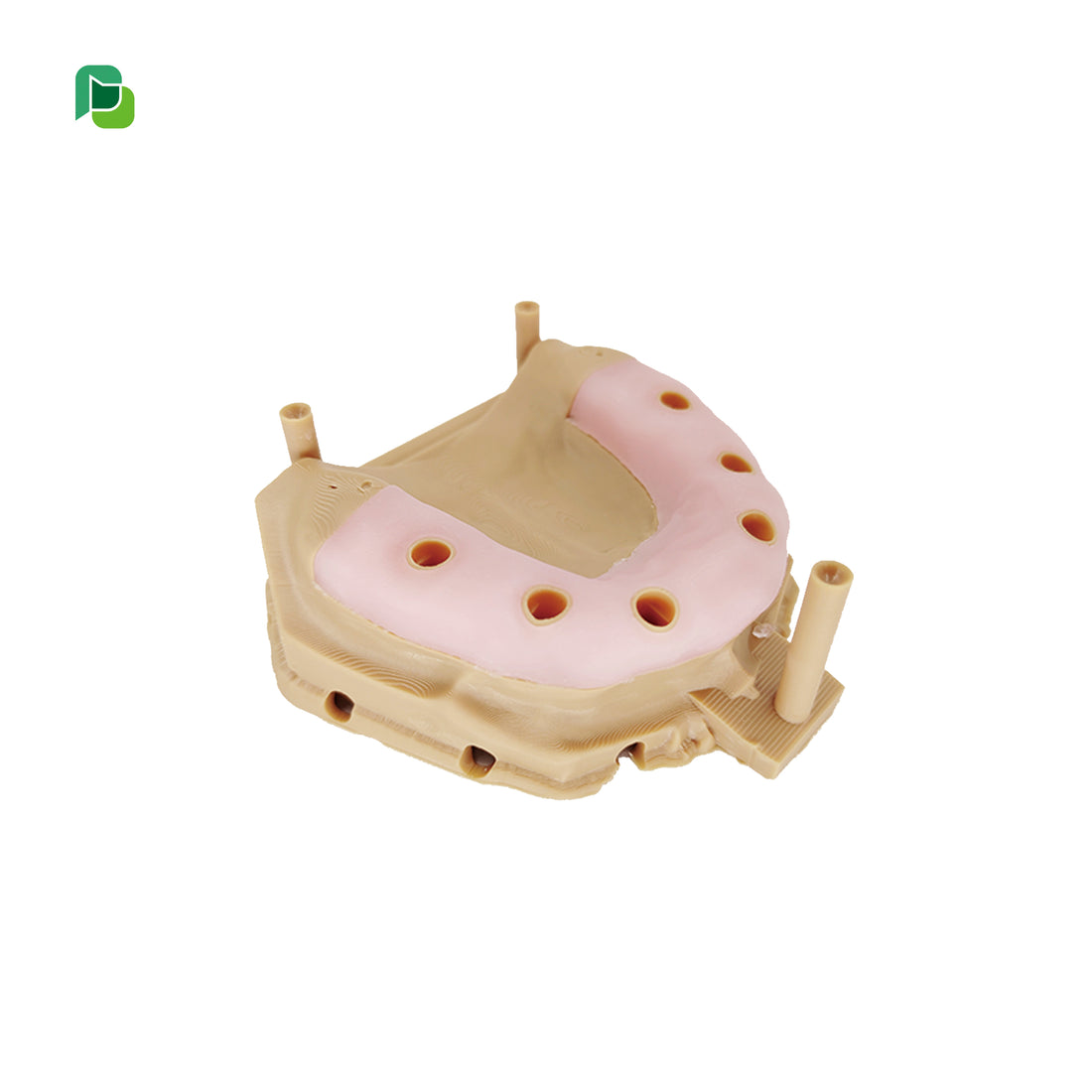 Beleal Artificial Gingiva