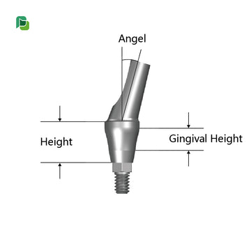 Osstem GS/TS Angled Restoration Abutment